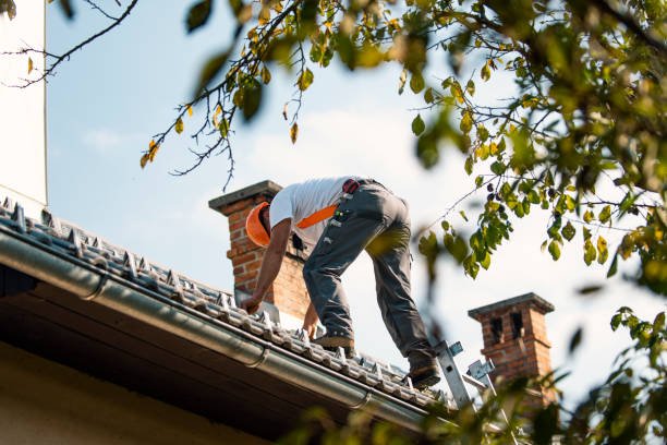 Best Residential Roof Replacement  in Pine Grove, PA