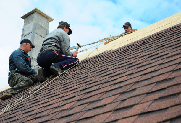 Roof Gutter Cleaning in Pine Grove, PA